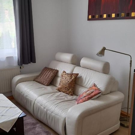 Ferienwohnung Christel Hirschhorn-Neckar エクステリア 写真