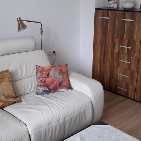 Ferienwohnung Christel Hirschhorn-Neckar エクステリア 写真