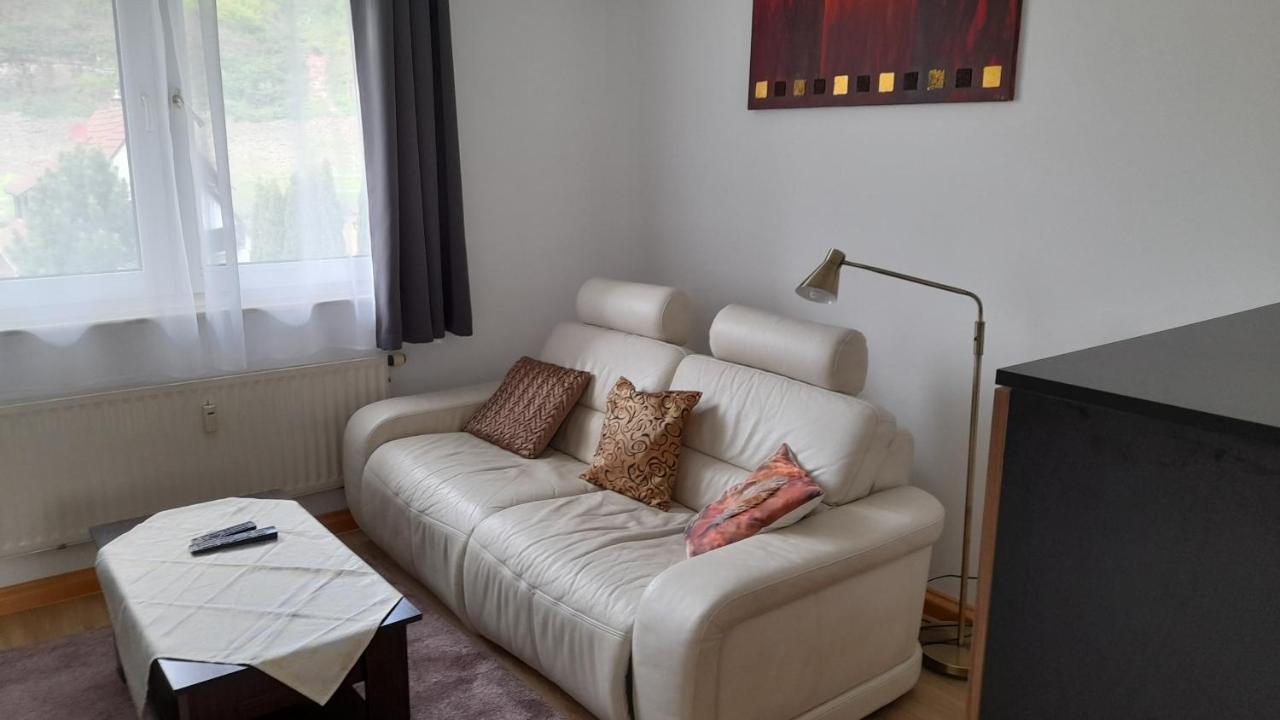 Ferienwohnung Christel Hirschhorn-Neckar エクステリア 写真