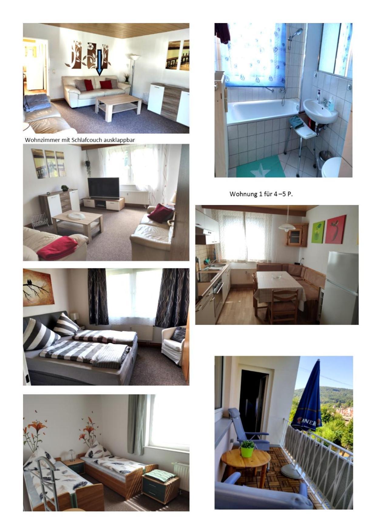 Ferienwohnung Christel Hirschhorn-Neckar エクステリア 写真