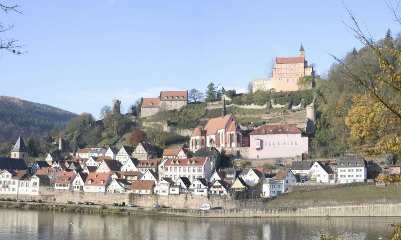 Ferienwohnung Christel Hirschhorn-Neckar エクステリア 写真