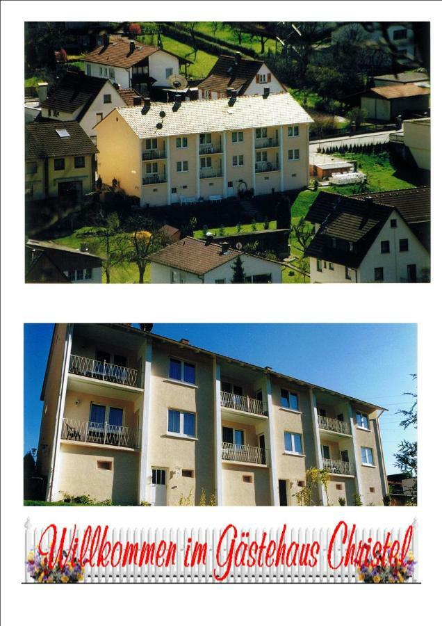 Ferienwohnung Christel Hirschhorn-Neckar エクステリア 写真