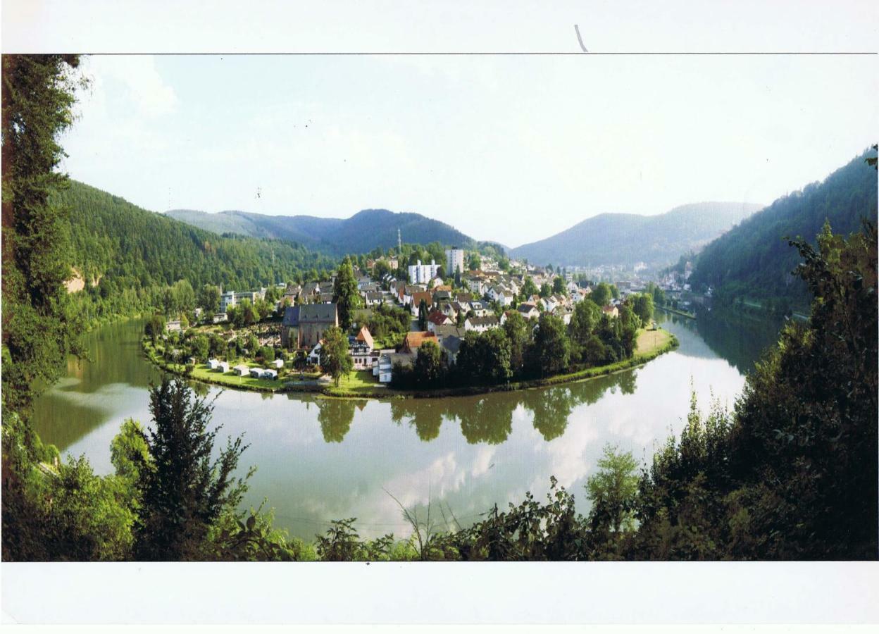 Ferienwohnung Christel Hirschhorn-Neckar エクステリア 写真