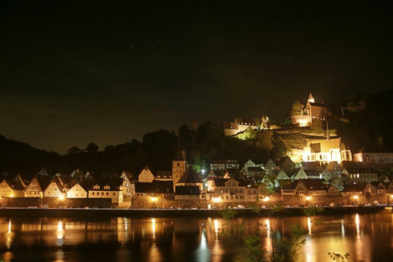 Ferienwohnung Christel Hirschhorn-Neckar エクステリア 写真